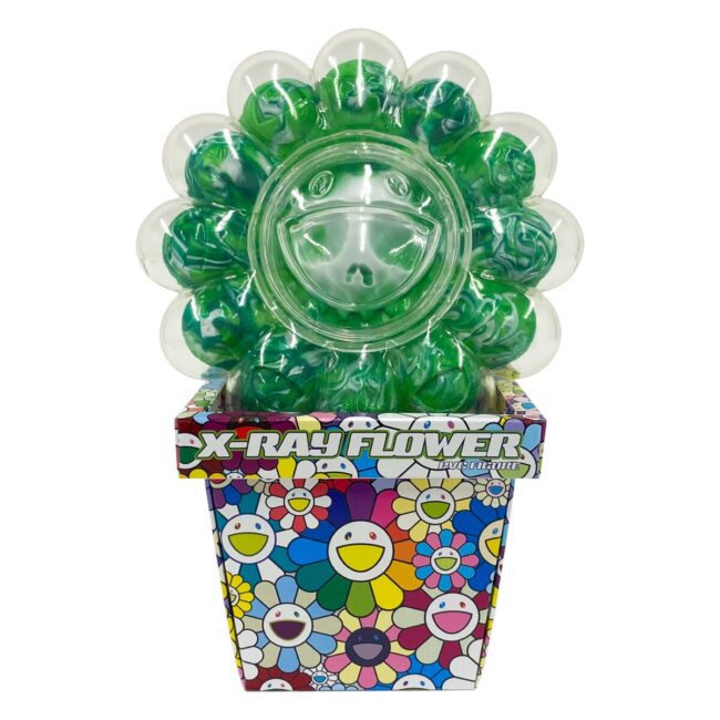 X-RAY FLOWER Green（1月中旬頃より順次発送）